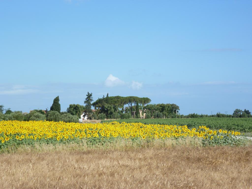 Casa Vacanze Vignarca - Localita Perelli Riotorto Buitenkant foto