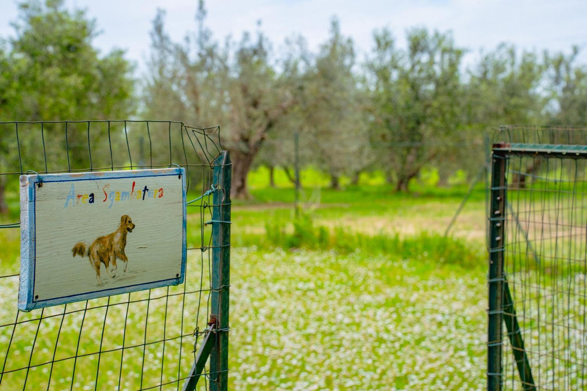 Casa Vacanze Vignarca - Localita Perelli Riotorto Buitenkant foto