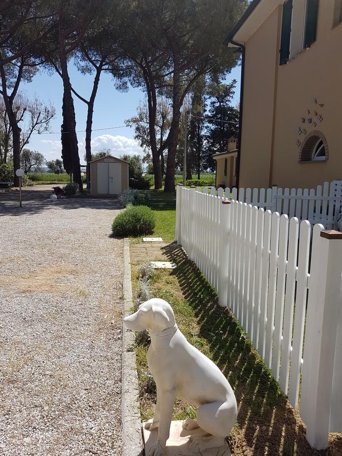 Casa Vacanze Vignarca - Localita Perelli Riotorto Buitenkant foto